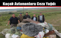 Kaçak Avlananlara Ceza Yağdı