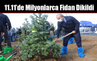 11.11’de Milyonlarca Fidan Dikildi