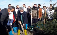 İstanbul Sanayi Odası’ndan 120 Bin Fidan