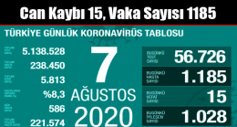 Can Kaybı 15, Vaka Sayısı 1185