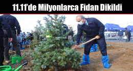 11.11’de Milyonlarca Fidan Dikildi