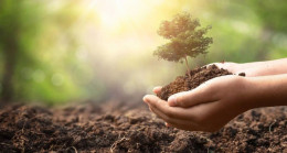 10 Bin Adet Fidan İle Destek