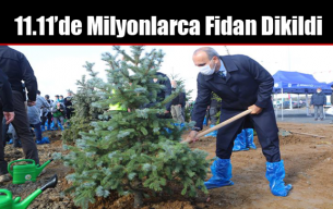 11.11’de Milyonlarca Fidan Dikildi