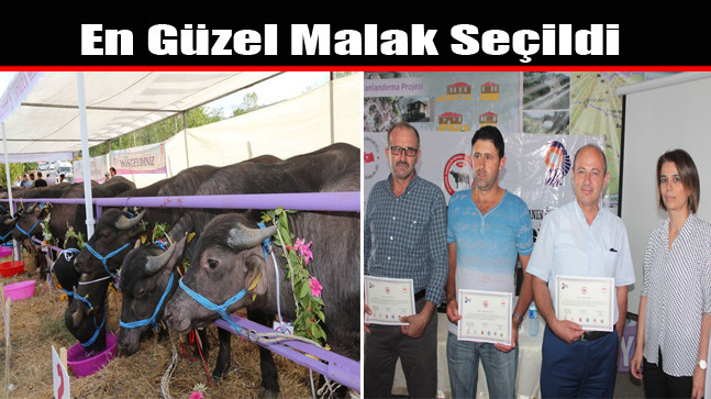 En Güzel Malak Seçildi