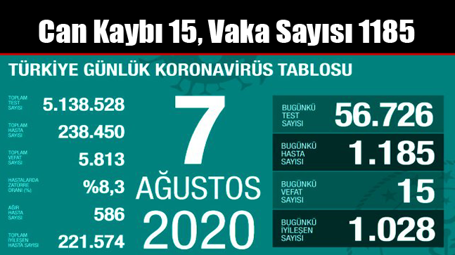 Can Kaybı 15, Vaka Sayısı 1185