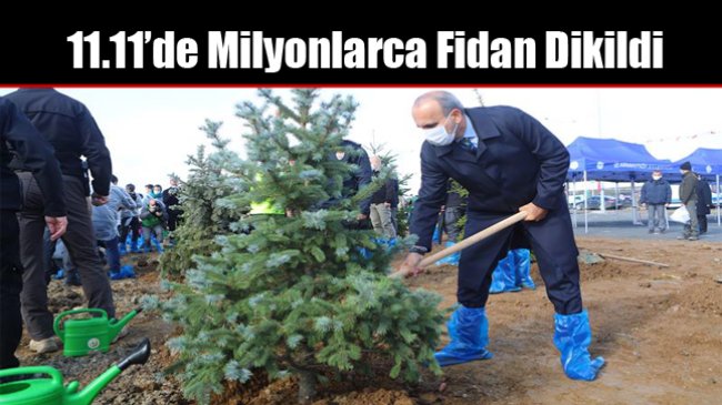 11.11’de Milyonlarca Fidan Dikildi