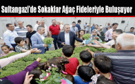 Sultangazi’de Sokaklar Ağaç Fideleriyle Buluşuyor