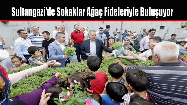 Sultangazi’de Sokaklar Ağaç Fideleriyle Buluşuyor