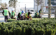 Arnavutköy 350 Bin Çiçekle Süslendi