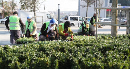 Arnavutköy 350 Bin Çiçekle Süslendi