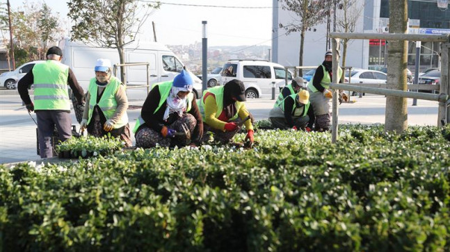 Arnavutköy 350 Bin Çiçekle Süslendi