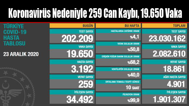 Koronavirüs Nedeniyle 259 Can Kaybı, 19.650 Vaka