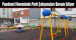 Pandemi Föneminde Park Çalışmaları Devam Ediyor