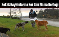 Sokak Hayvanlarına Her Gün Mama Desteği