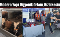 Modern Yapı, Hijyenik Ortam, Hızlı Kesim