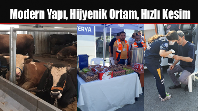 Modern Yapı, Hijyenik Ortam, Hızlı Kesim