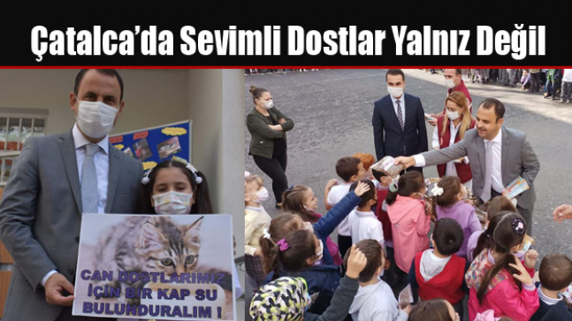 Çatalca’da Sevimli Dostlar Yalnız Değil